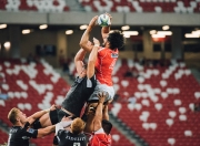 开云体育平台APP-赛道与球场，F1年度争冠焦点战与森林狼碾压76人的双重奏