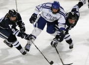 开云官方app入口-从墨尔本到蒙特卡洛，兹维列夫的统治力进化与大师赛翻盘澳网的启示