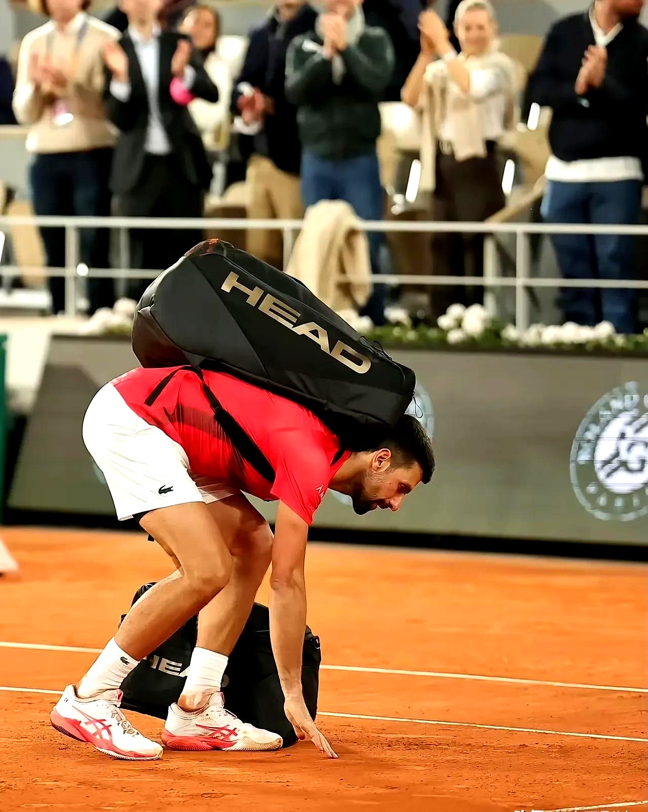 包含日本网球队绝杀英国网球队，德约科维奇惊艳世界的词条